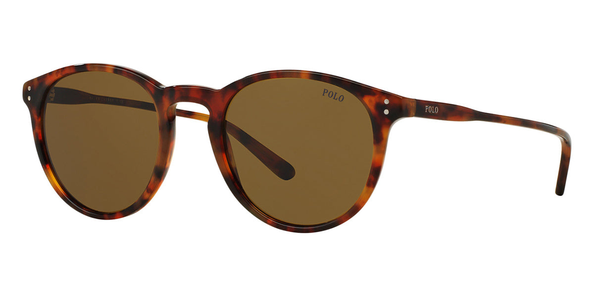 Polo PH 4181 - 500371 Shiny Dark Havana | Sunglasses Man