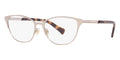 Ralph by Ralph Lauren RA6055 9427 Glasses