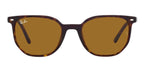 Ray-Ban Elliot RB 2197 902/33 Sunglasses