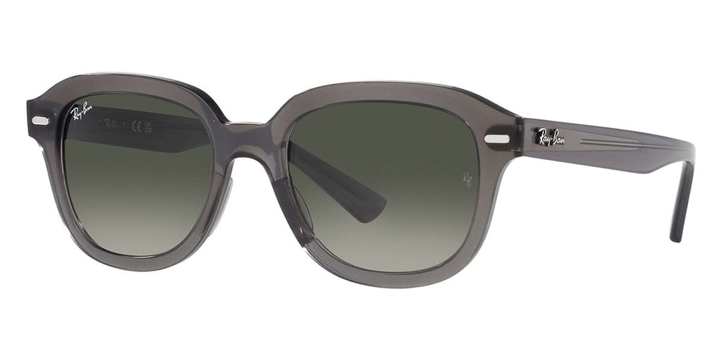 Ray-Ban Erik RB 4398 6675/71 Sunglasses