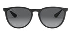 Ray-Ban Erika RB 4171 622/T3 Sunglasses