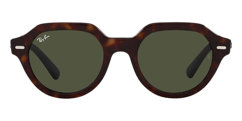 Ray-Ban Gina RB 4399 902/31 Sunglasses