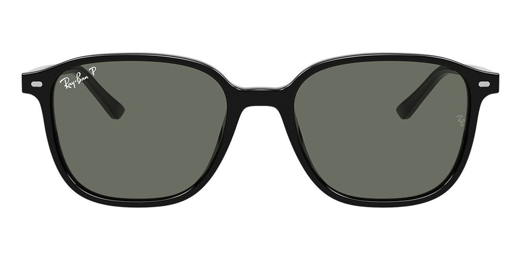 Ray-Ban Leonard RB 2193 901/58 Polarised Sunglasses - US