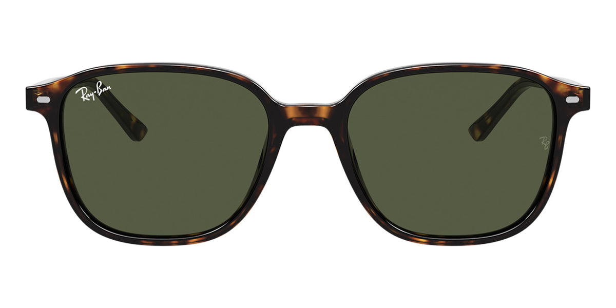 ray ban leonard rb 2193 90231
