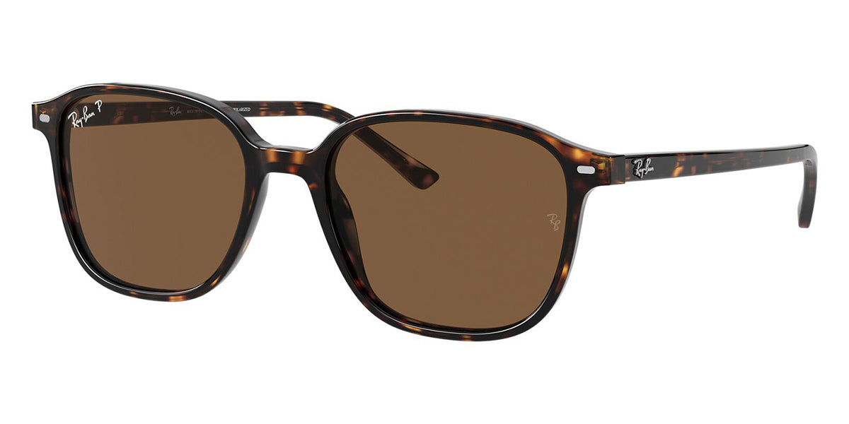 Ray-Ban Leonard RB 2193 902/57 Polarised Square Sunglasses