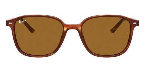 Ray-Ban Leonard RB 2193 954/33 Sunglasses
