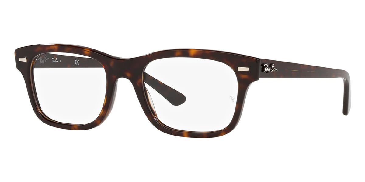 Ray-Ban Mr Burbank RB 5383 2012 Glasses