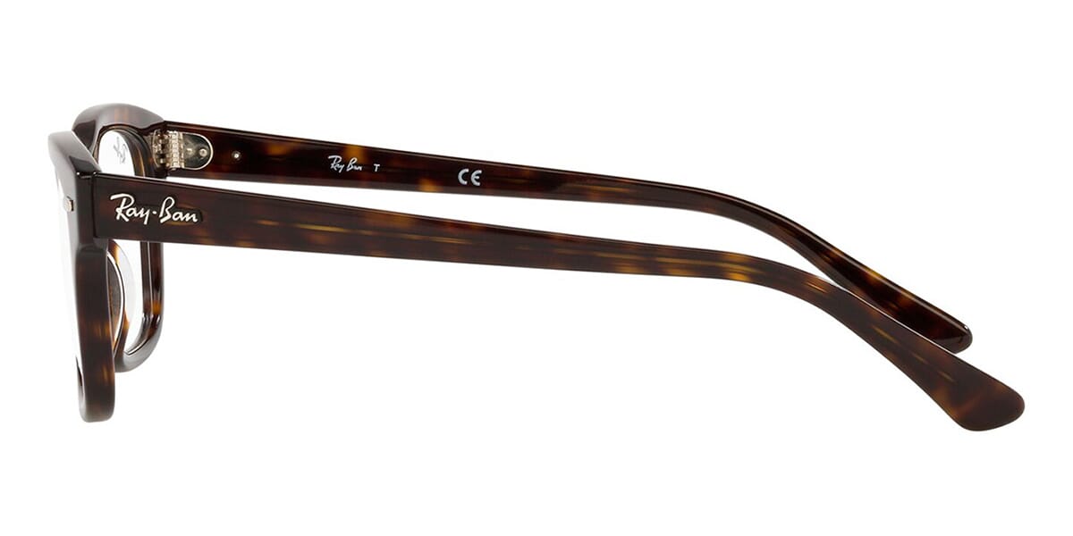 Ray-Ban Mr Burbank RB 5383 2012 Glasses
