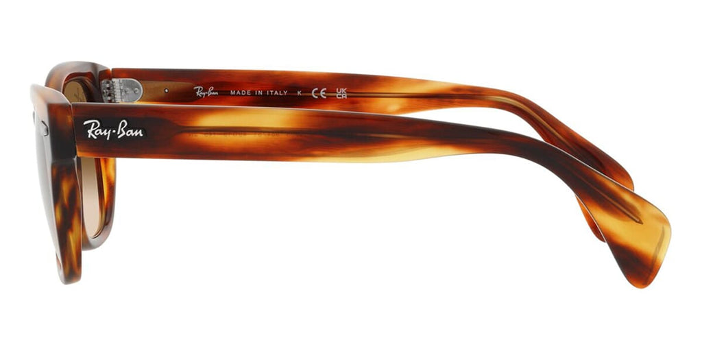 Ray-Ban RB 0880S 954/51 Sunglasses - US