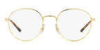 Ray-Ban RB 3681V 2500 Glasses