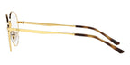 Ray-Ban RB 3681V 2500 Glasses
