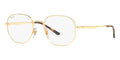 Ray-Ban RB 3682V 2500 Glasses