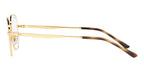 Ray-Ban RB 3682V 2500 Glasses