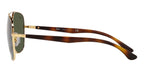 Ray-Ban RB 3683 001/31 Sunglasses