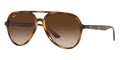 Ray-Ban RB 4376 710/13 Sunglasses