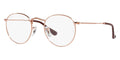 Ray-Ban Round Metal RB 3447V 3094 Glasses
