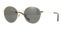 saint laurent sl 250 010