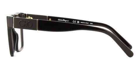 Salvatore Ferragamo SF2919 001 Glasses