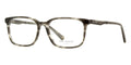Ted Baker Farr 8249 903 Glasses