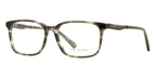 Ted Baker Farr 8249 903 Glasses