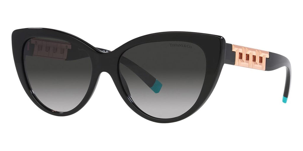 Tiffany & Co TF4196 8001/3C Sunglasses