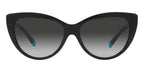 Tiffany & Co TF4196 8001/3C Sunglasses