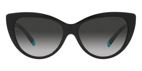Tiffany & Co TF4196 8001/3C Sunglasses
