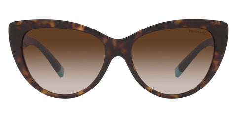 Tiffany & Co TF4196 8015/3B Sunglasses