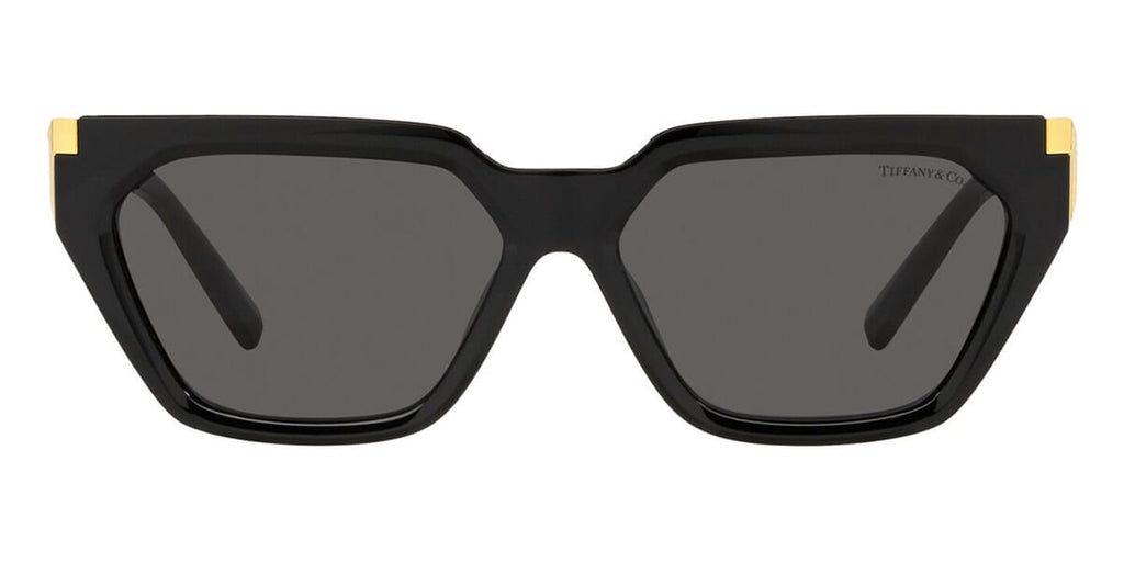 tiffany-and-co-tf4205u-8001s4-
