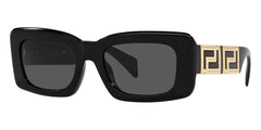 Versace Medusa Charm 2198 1252/13 Sunglasses - US